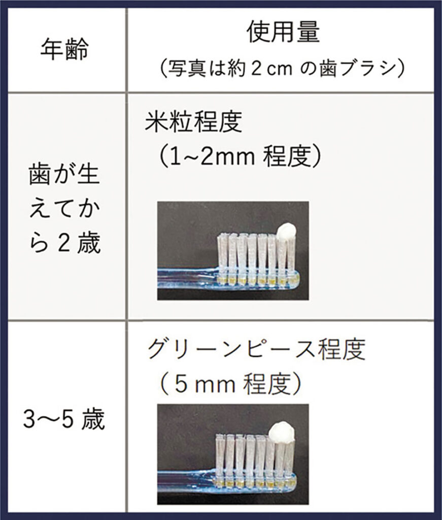 フッ化物配合歯磨き剤の使用量目安