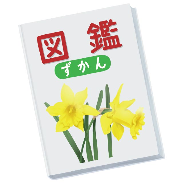 図鑑で「好き」を深める