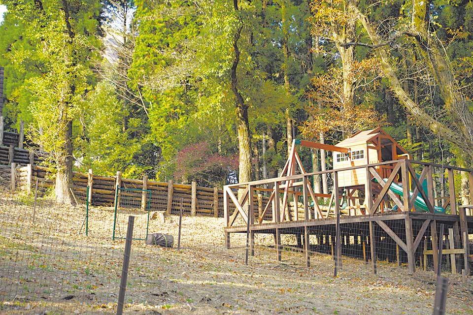 伸び伸び遊べる遊具エリア